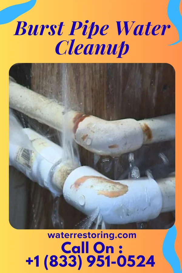 Burst Pipe Water Cleanup in Shinnecock Hills, NY