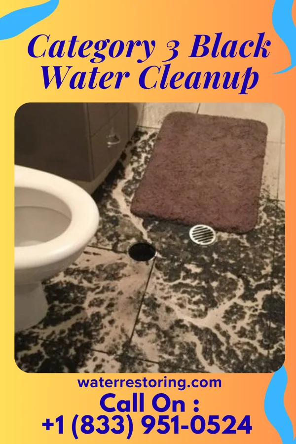 Category 3 Black Water Cleanup in Shinnecock Hills, NY