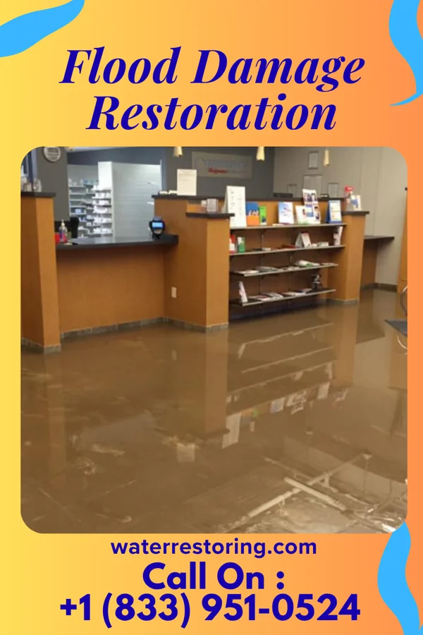 Flood Damage Restoration in Shinnecock Hills, NY